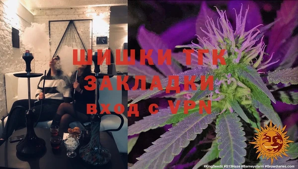сатива Медногорск