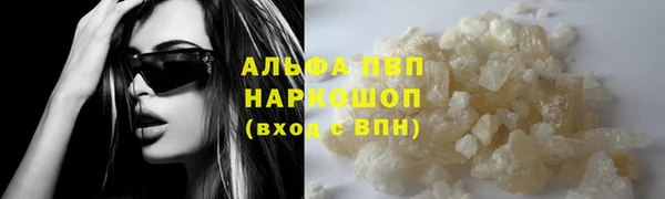 сатива Медногорск