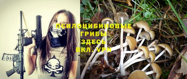 ПСИЛОЦИБИНОВЫЕ ГРИБЫ Михайловск