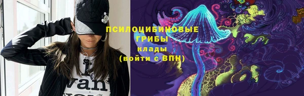 дурь Медвежьегорск