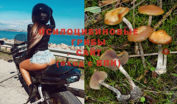 ешки Мегион