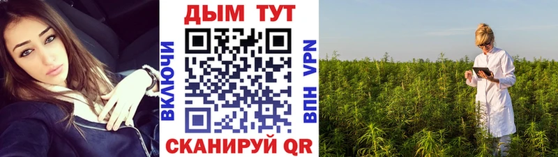 Купить  Карпинск  Каннабис сатива 